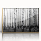 Large art print of Aspen, Colorado scenery in mid-century modernist style, framed in acrylic with gold accents.