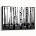 Black and white framed canvas of Aspen, Colorado landscape, ideal for bedroom wall art.