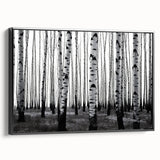 Black and white framed canvas of Aspen, Colorado landscape, ideal for bedroom wall art.