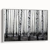 Vintage poster art depicting Aspen, Colorado scenery on a framed canvas, featuring vibrant autumn colors.