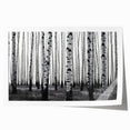 Extra large rolled print of Aspen, Colorado scenery in muted earth tones, ideal for art wall dining room.