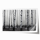 Extra large rolled print of Aspen, Colorado scenery in muted earth tones, ideal for art wall dining room.