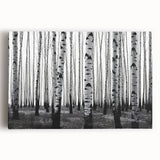 Black and white photograph of Aspen, Colorado on large stretched canvas, suitable for kitchen wall art.