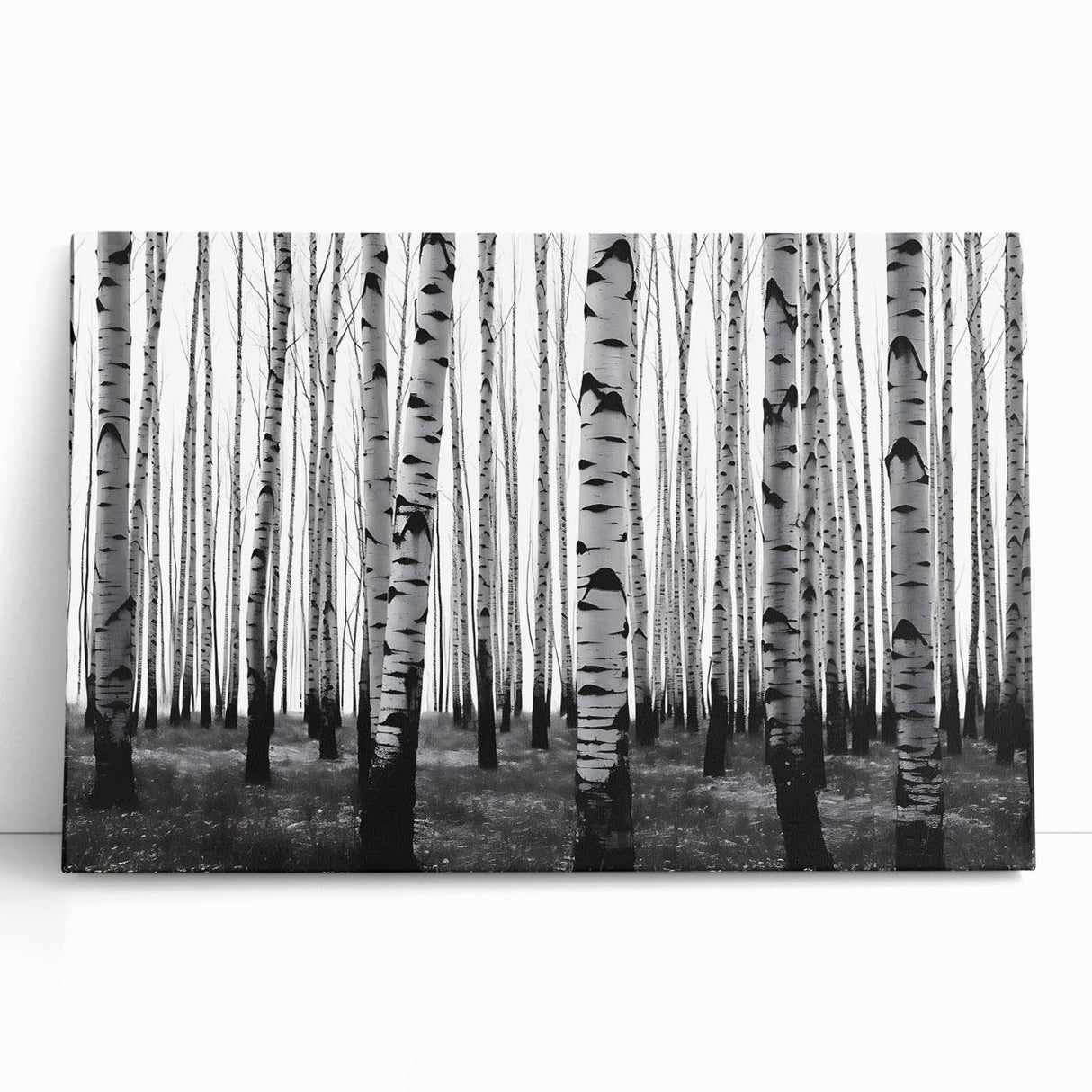Black and white stretched canvas of Aspen, Colorado scenery, ideal for kitchen wall art or bedroom ambiance.