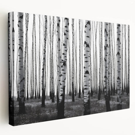 Large canvas print of Aspen, Colorado scenery in autumn hues, suitable for kitchen wall art.