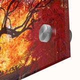 Large abstract wall art featuring muted earth tones on acrylic glass.