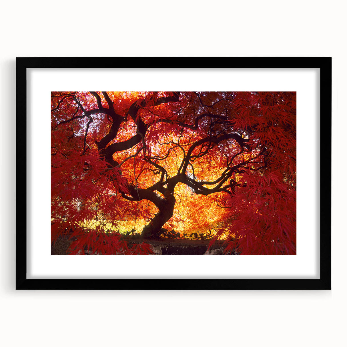 Abstract art print featuring vibrant, colorful textures of Connecticut scenery on a large black-framed canvas.