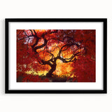 Abstract art print featuring vibrant, colorful textures of Connecticut scenery on a large black-framed canvas.