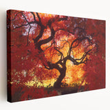 Large stretched canvas featuring a tranquil Connecticut landscape in soft green and blue tones, ideal for kitchen wall art.