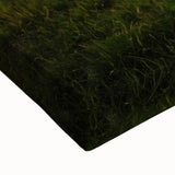 Large art featuring a black and white landscape painting of Iowa scenery on stretched canvas, suitable for bedroom decor.