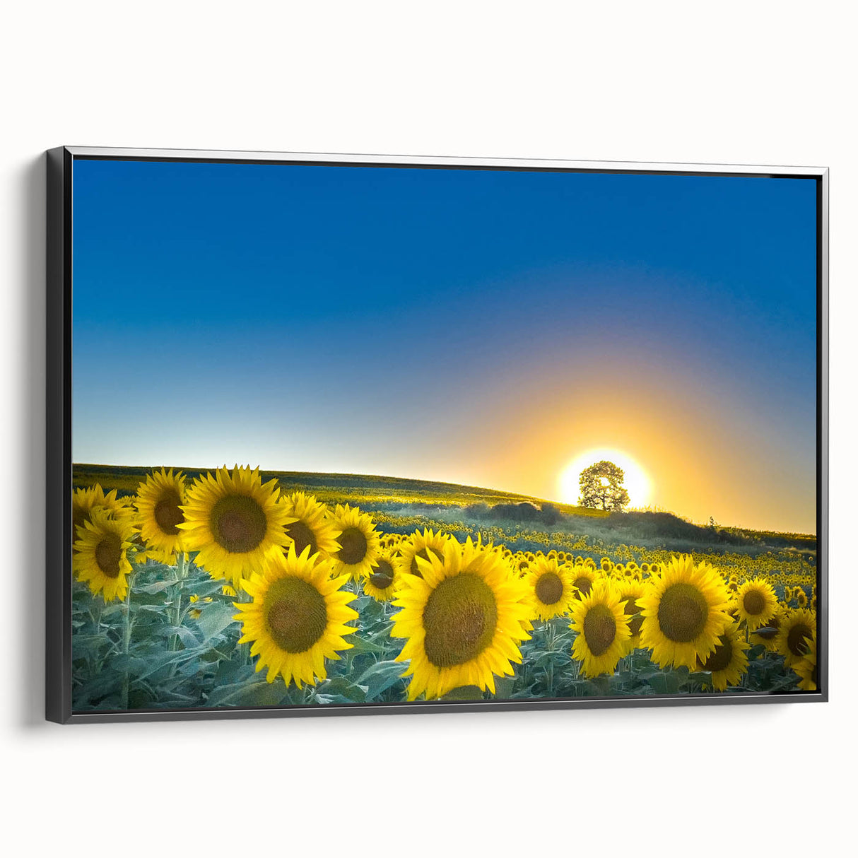 Black and white framed canvas of a Kansas landscape in vintage poster style, suitable for bedroom decor.