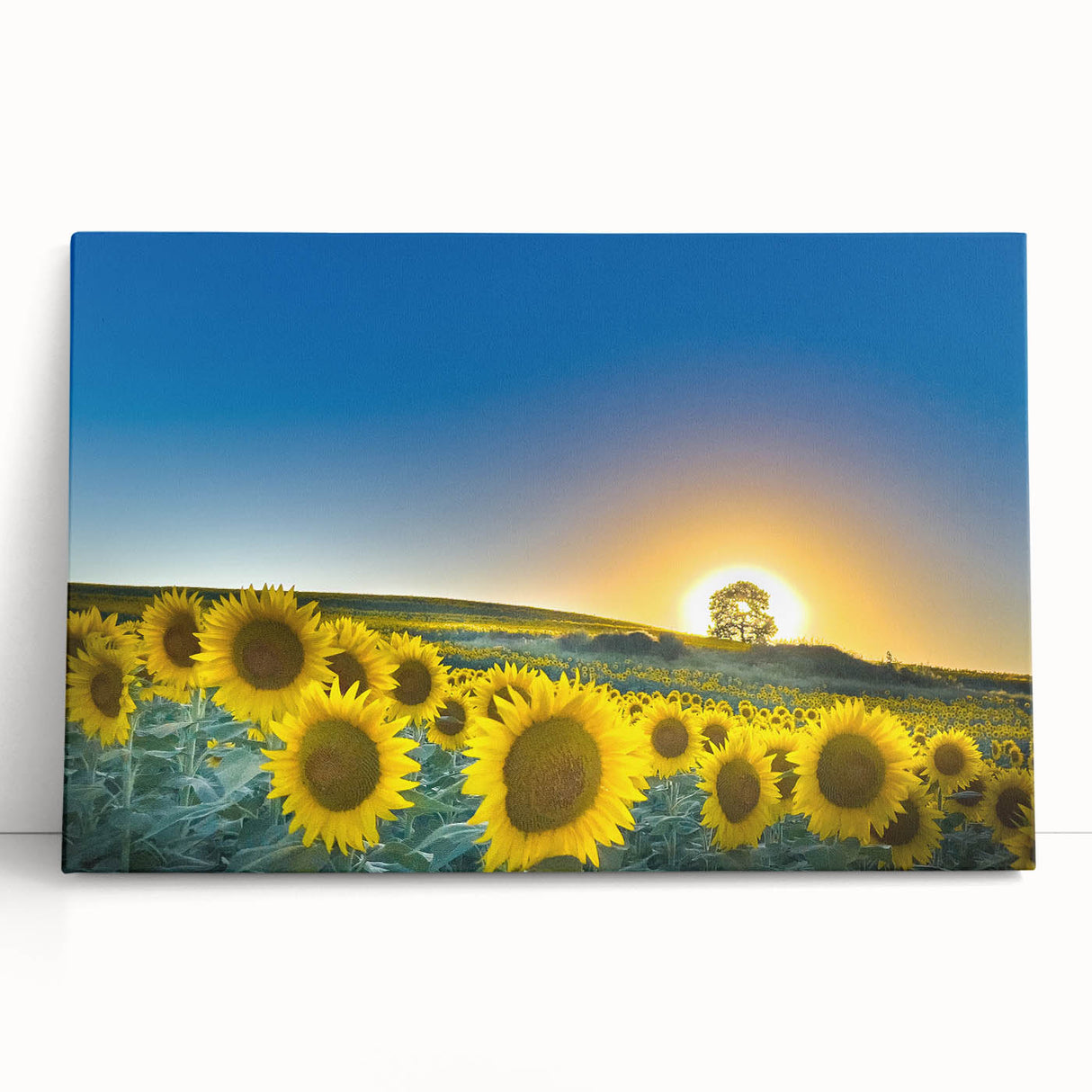 Black and white photograph of Kansas scenery on stretched canvas, ideal for kitchen wall art.