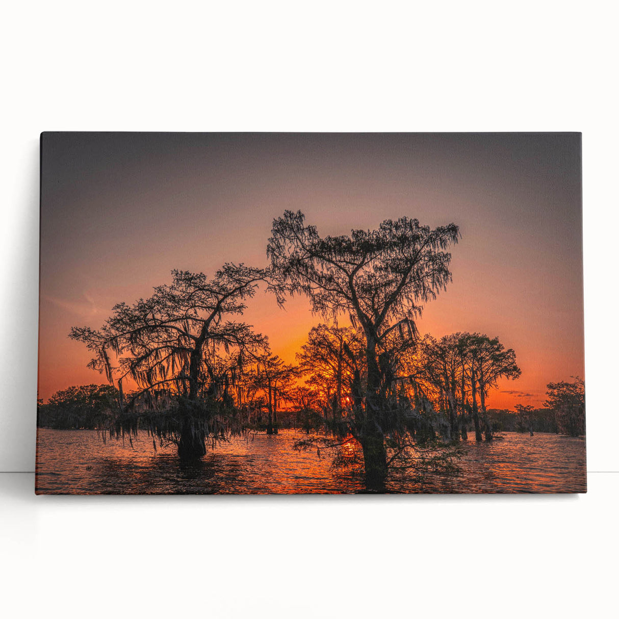 Black and white stretched canvas of Louisiana scenery, ideal for kitchen wall art or bedroom decor.