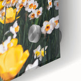 Large abstract wall art in pastel shades on acrylic glass, featuring spring-themed designs, ideal for dining room art.