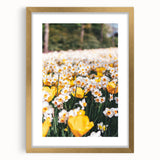 Extra large abstract art print featuring textured spring motifs in pastel shades, framed in gold.