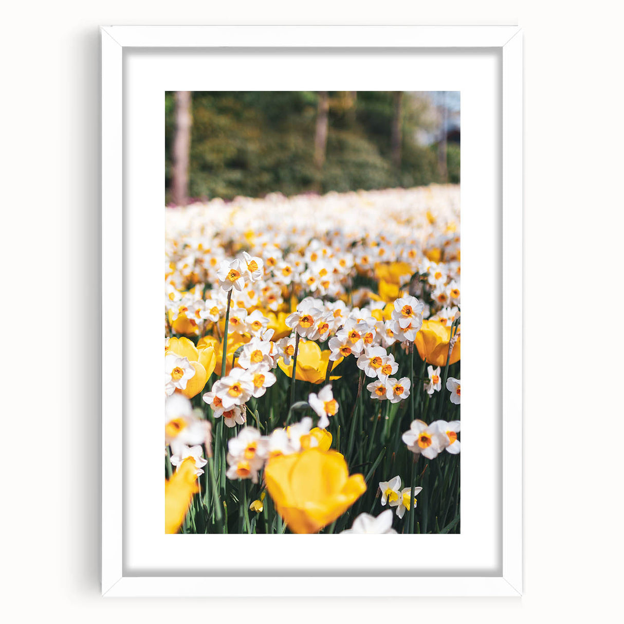 Abstract art print featuring swirling spring motifs in pastel shades, framed with a white mat, ideal for dining room decor.