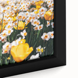Extra large framed canvas featuring textured, colorful art of spring with a bold black background.