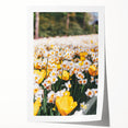 Rolled canvas print of spring-themed floral art featuring soft pastel shades.
