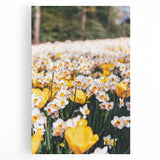 Black and white large art canvas depicting spring season, ideal for kitchen wall art.