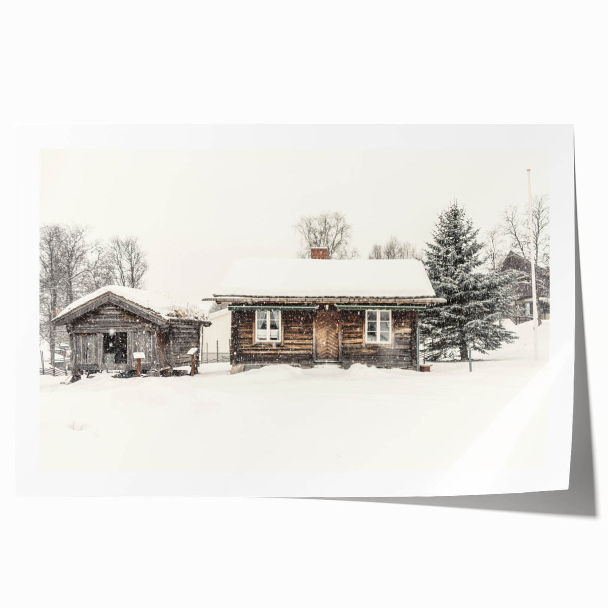 Winter-themed floral art on rolled print with subdued blue and white tones, suitable for dining room or bathroom decor.