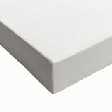 Romanticism Art: Dichorisandra Undata Botanical Illustration