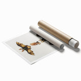 Romanticism Art: Plecotus Bat Scientific Illustration