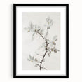 Abstract floral frame artwork in black matting, showcasing vibrant colors and intricate designs, perfect for modern home decor or gallery display.