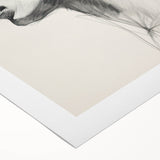 Abstract minimalist wall art print on rolled canvas, showcasing soft pastel colors and geometric shapes, perfect for modern home decor and artistic expression.