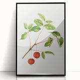 Detailed Art Realism - Vintage Cherries Botanical Wall Art Print