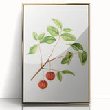 Detailed Art Realism - Vintage Cherries Botanical Wall Art Print