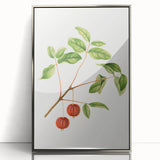 Detailed Art Realism - Vintage Cherries Botanical Wall Art Print