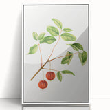 Detailed Art Realism - Vintage Cherries Botanical Wall Art Print