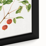 Detailed Art Realism - Vintage Cherries Botanical Wall Art Print