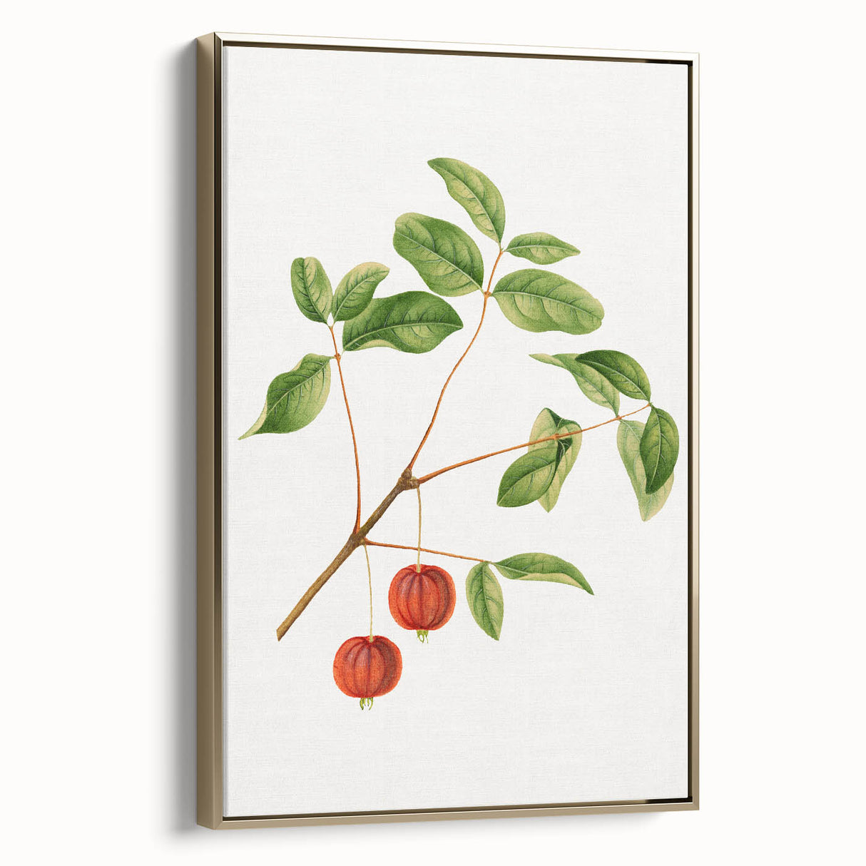 Detailed Art Realism - Vintage Cherries Botanical Wall Art Print