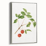 Detailed Art Realism - Vintage Cherries Botanical Wall Art Print