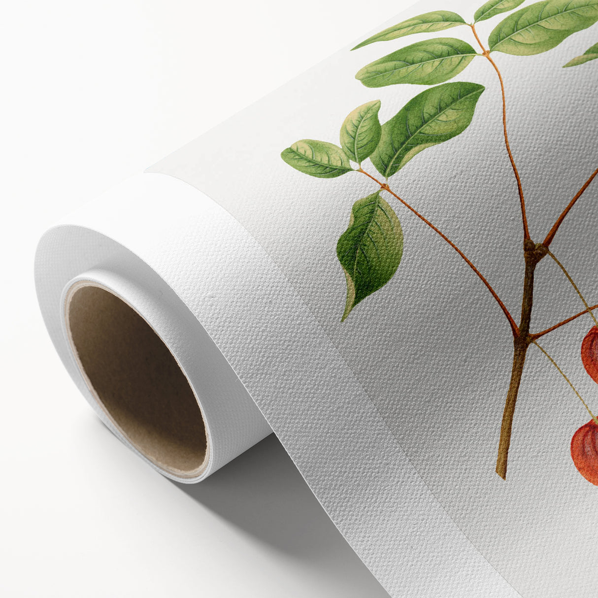 Detailed Art Realism - Vintage Cherries Botanical Wall Art Print