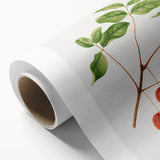 Detailed Art Realism - Vintage Cherries Botanical Wall Art Print