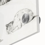 Romanticism Art: Five Studies of Cats by Jean Bernard