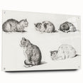 Romanticism Art: Five Studies of Cats by Jean Bernard
