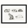 Romanticism Art: Five Studies of Cats by Jean Bernard