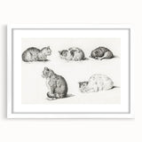 Romanticism Art: Five Studies of Cats by Jean Bernard