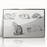 Romanticism Art: Five Studies of Cats by Jean Bernard