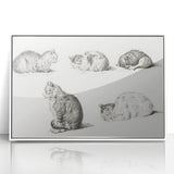 Romanticism Art: Five Studies of Cats by Jean Bernard