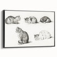 Romanticism Art: Five Studies of Cats by Jean Bernard