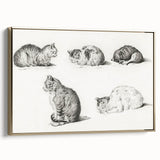 Romanticism Art: Five Studies of Cats by Jean Bernard