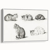 Romanticism Art: Five Studies of Cats by Jean Bernard