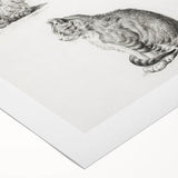 Romanticism Art: Five Studies of Cats by Jean Bernard