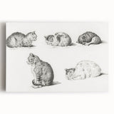 Romanticism Art: Five Studies of Cats by Jean Bernard