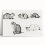 Romanticism Art: Five Studies of Cats by Jean Bernard