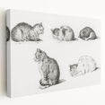Romanticism Art: Five Studies of Cats by Jean Bernard
